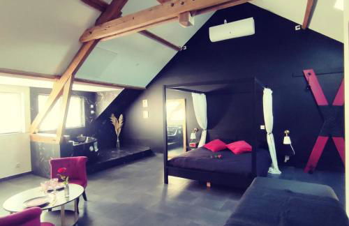 Love Room à Montargis - Photo 3