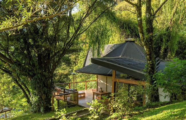 El Tigre Hideaway - Photo 79