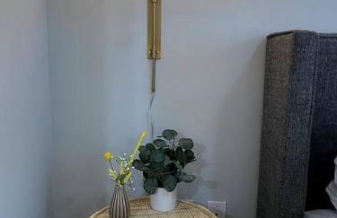 Near Belmont Vanderbilt Music Row Free Parking - Foto 17