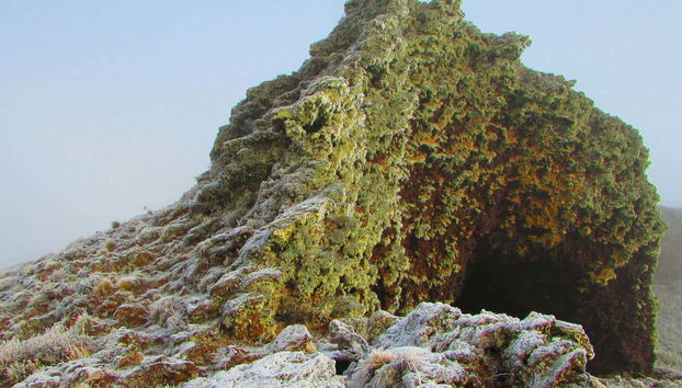 Descubriendo este singular paisaje