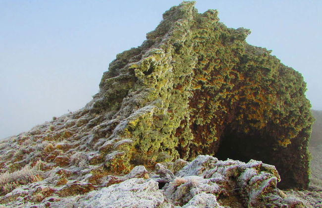 Excursión al Parque Nacional Pali Aike - Foto 4