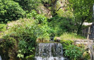 Gardenia Sun & Pool - Foto 36