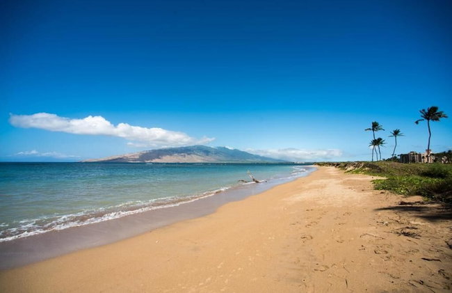 Calming Coastal Vistas - Photo 63