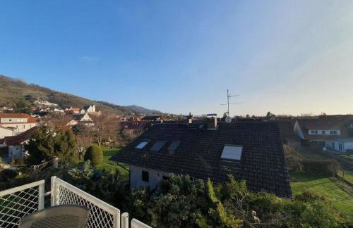 ABM Apartment 36 - Photo 12