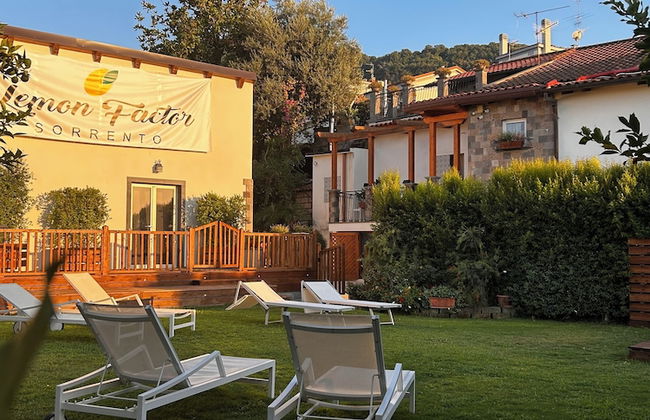 Lemon Factor Sorrento - Photo 76