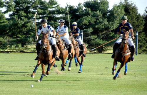 Villa Gavin - Foto 38