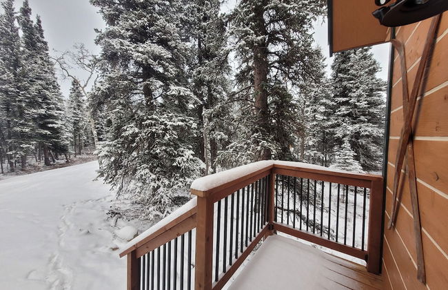 Denali Wild Stay - Foto 78