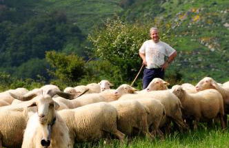 Apartamentos Pistolo - Foto 9