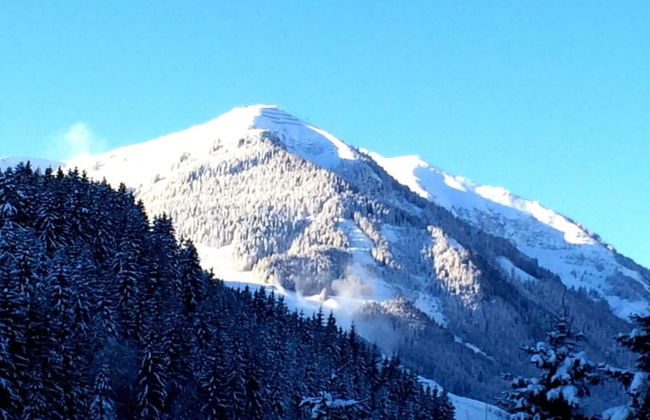 Apartment in Flachau Near Ski Lift - Foto 39