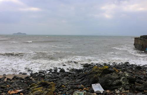 101a Pettycur Road - Foto 31