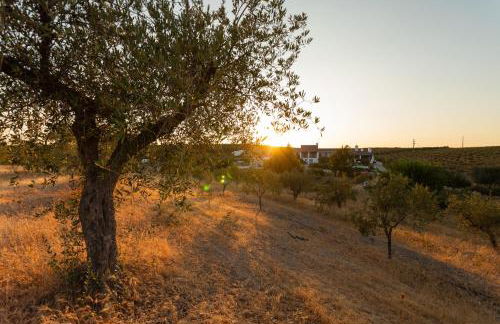 Monte da Estrela - Country House & SPA - Foto 33