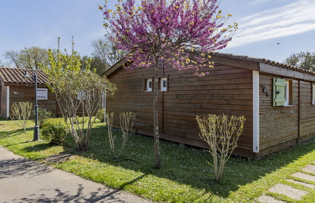 Domaine de Sévenier Chêne Vert - Foto 22