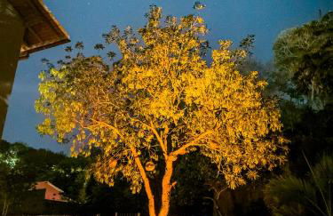 Vila Tanrral - Photo 18