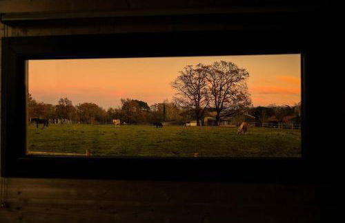 Homnest - Clairiere des Animaux - 1h de Toulouse - Photo 22