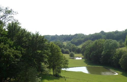 Château de Pleneselve - Foto 62