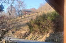 Baita Carlito - Foto 18