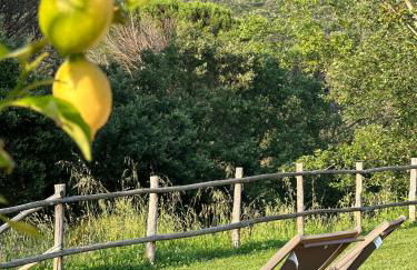 Gio Toscana - Foto 32