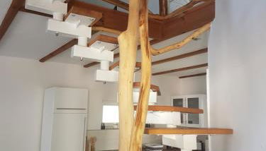 Ferienhaus am Rande des Müritz-Nationalparks - Foto 5