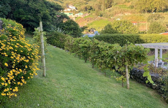 Villaverde Azores - Foto 71