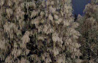 Czarna Góra Apartament 319 - Foto 38