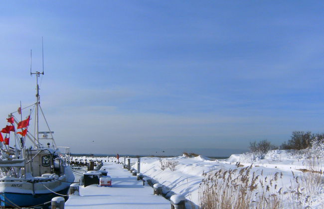 Gollwitzer Park (Insel Poel) - Foto 22