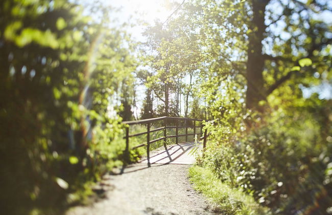 Marholmen Stugor - Foto 51