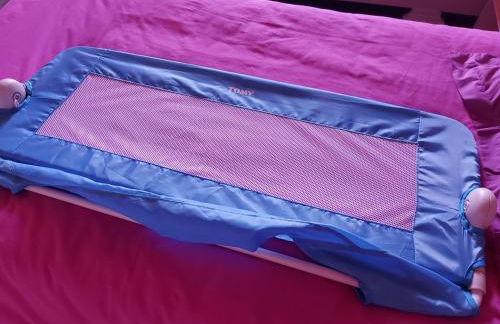 La Boutruchère - Photo 21