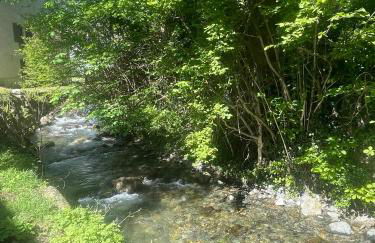 Appartement avec piscine en Vallée d’Ossau - Foto 13