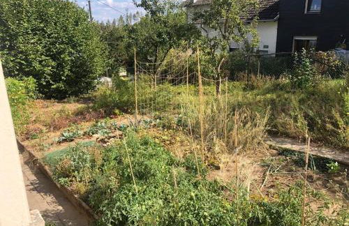 Naturnahes Wohnen in einem alten Haus mit Garten - Foto 34