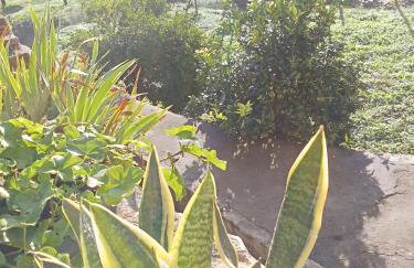 Df Alojamentos e Suites - Photo 34