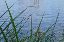 Ferienwohnung König - Foto 20