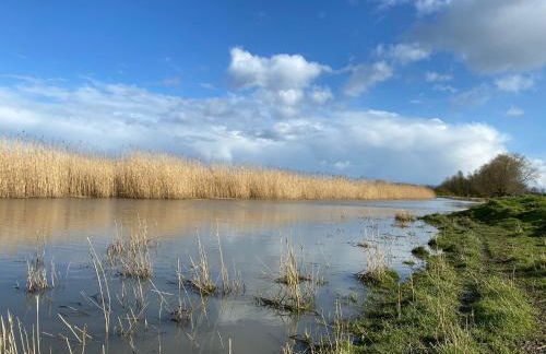 Ferienwohnung Storchennest - Photo 6