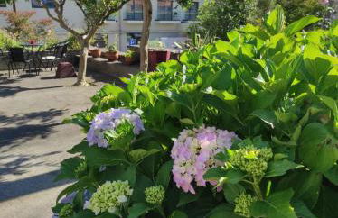 Casa d`Avó Ná - Foto 9