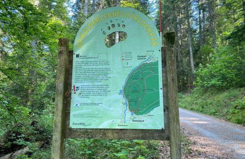 Schwarzwaldhaus Zwink - Foto 12