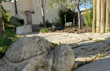 Las Gavias - Foto 13