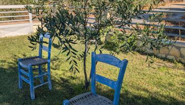 Pame Apartments Only Adults - Foto 2