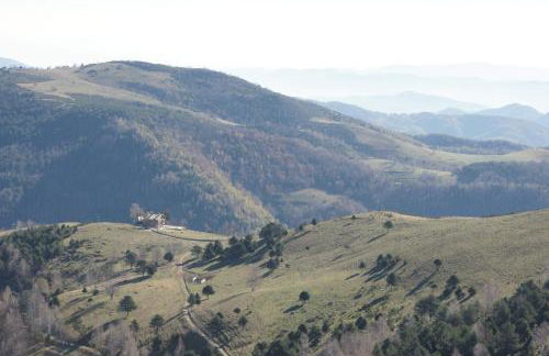 Can Pletis - Foto 45