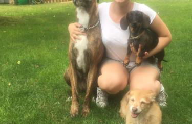 Un Petit Paradis - Foto 92