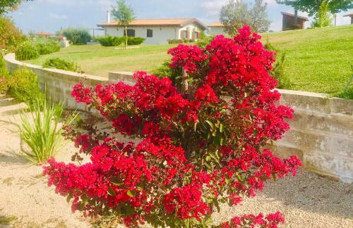 La collina delle fonti - Foto 16