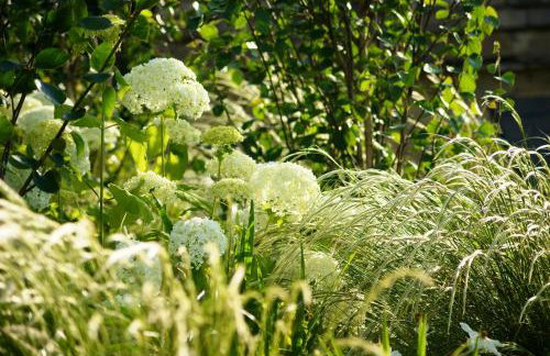 Culls Cottage, - Foto 43