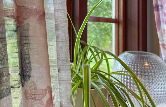 6 Person Holiday Home in Mellerud-by Traum - Foto 24