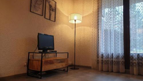 Bel appartement 2 pièces en RDC - Foto 3