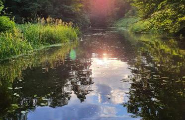 Przystań Piława - Foto 80