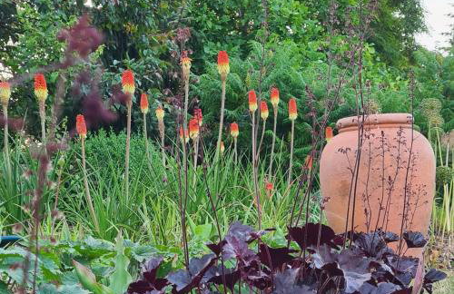 Sowi Dworek - Foto 18