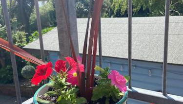 The Bedsit - Photo 4