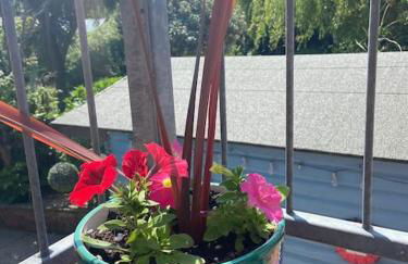 The Bedsit - Photo 4