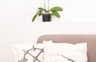 DN ART ROYALE - APT D first floor with lake view terrace and hot tub - APT N ground floor with internal whirpool - Foto 45