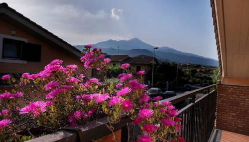 Daniele's Suite. Etna, Sea & much more... - Foto 4