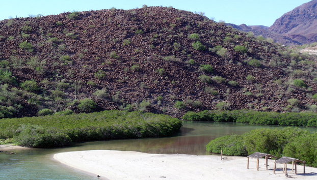 Mangroves and Beaches Tour - Photo 3