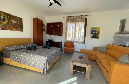 Belvedere 3 - Studio - Foto 3